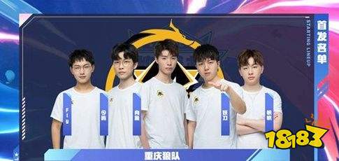 成为她职业