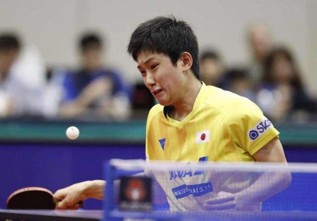 或许有机会 或许有机会