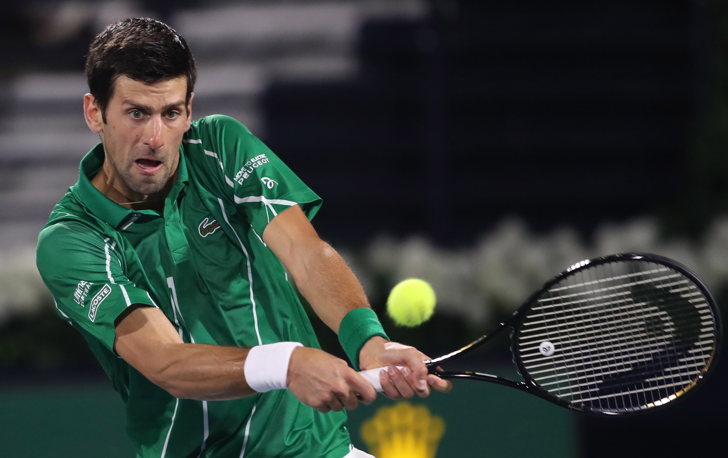 态和精湛的 态和精湛的