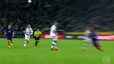 了广泛关注 了广泛关注