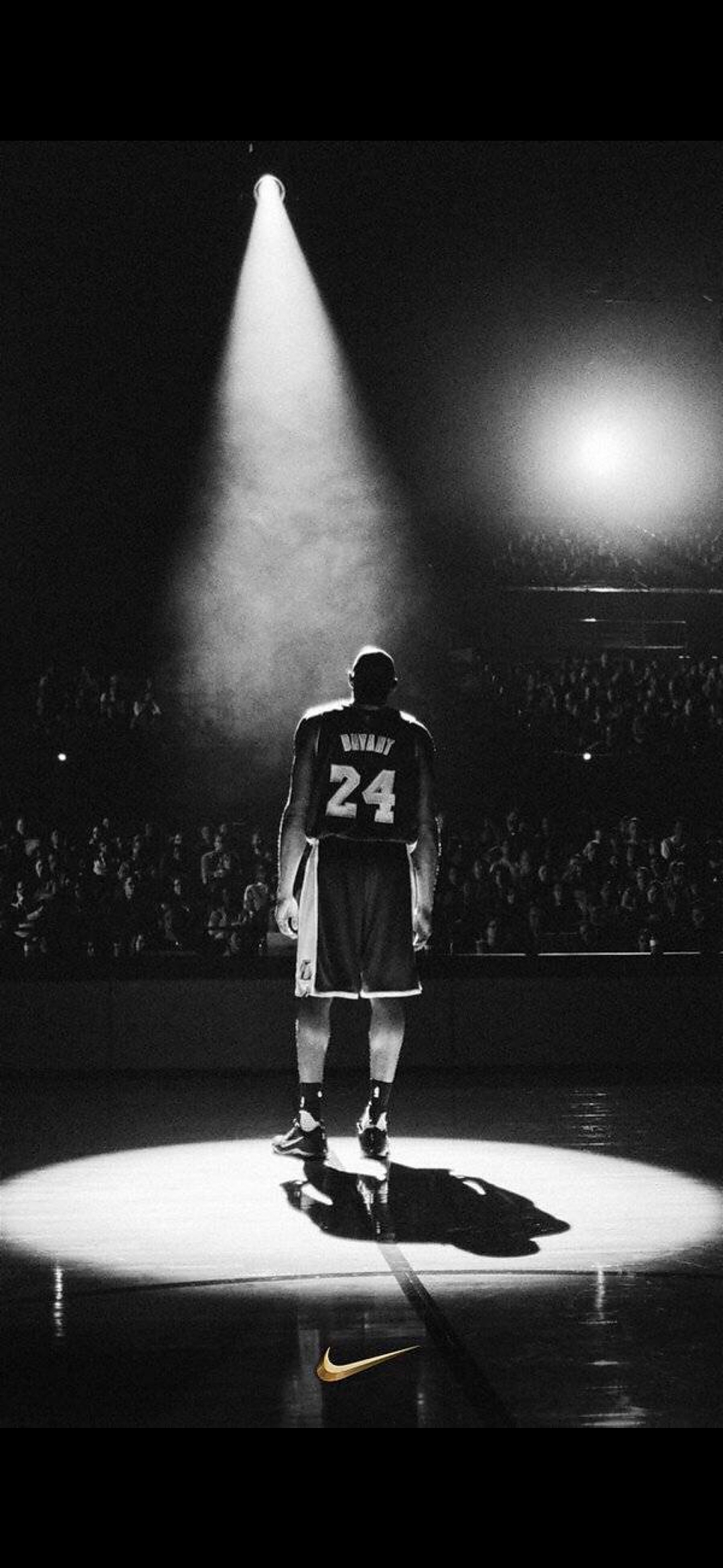 也正体现了 也正体现了